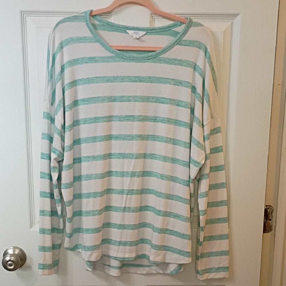 Time and Tru Mint & White Striped Long Sleeve Shirt